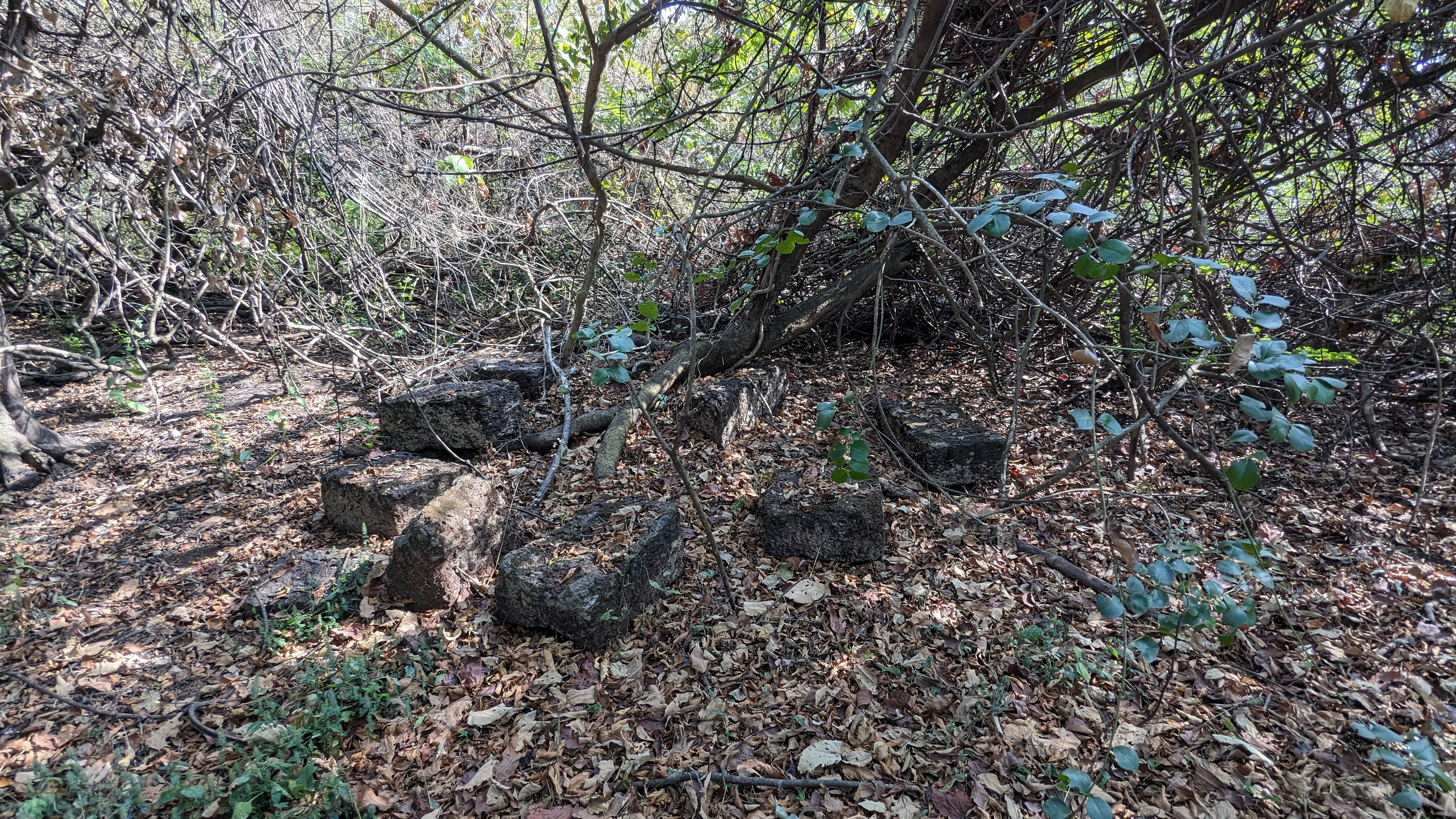 Siddhagad (Malvan)